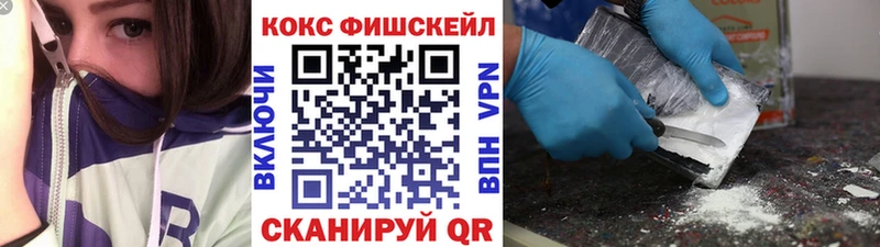 Купить где  Новосокольники  Cocaine 98% 