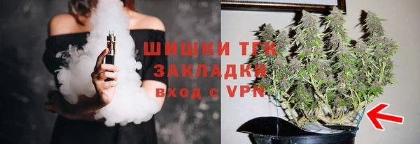 индика Алзамай