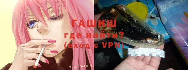 индика Алзамай