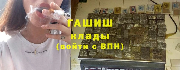 индика Алзамай