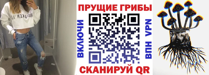 Купить  Новосокольники  Псилоцибиновые грибы GOLDEN TEACHER 